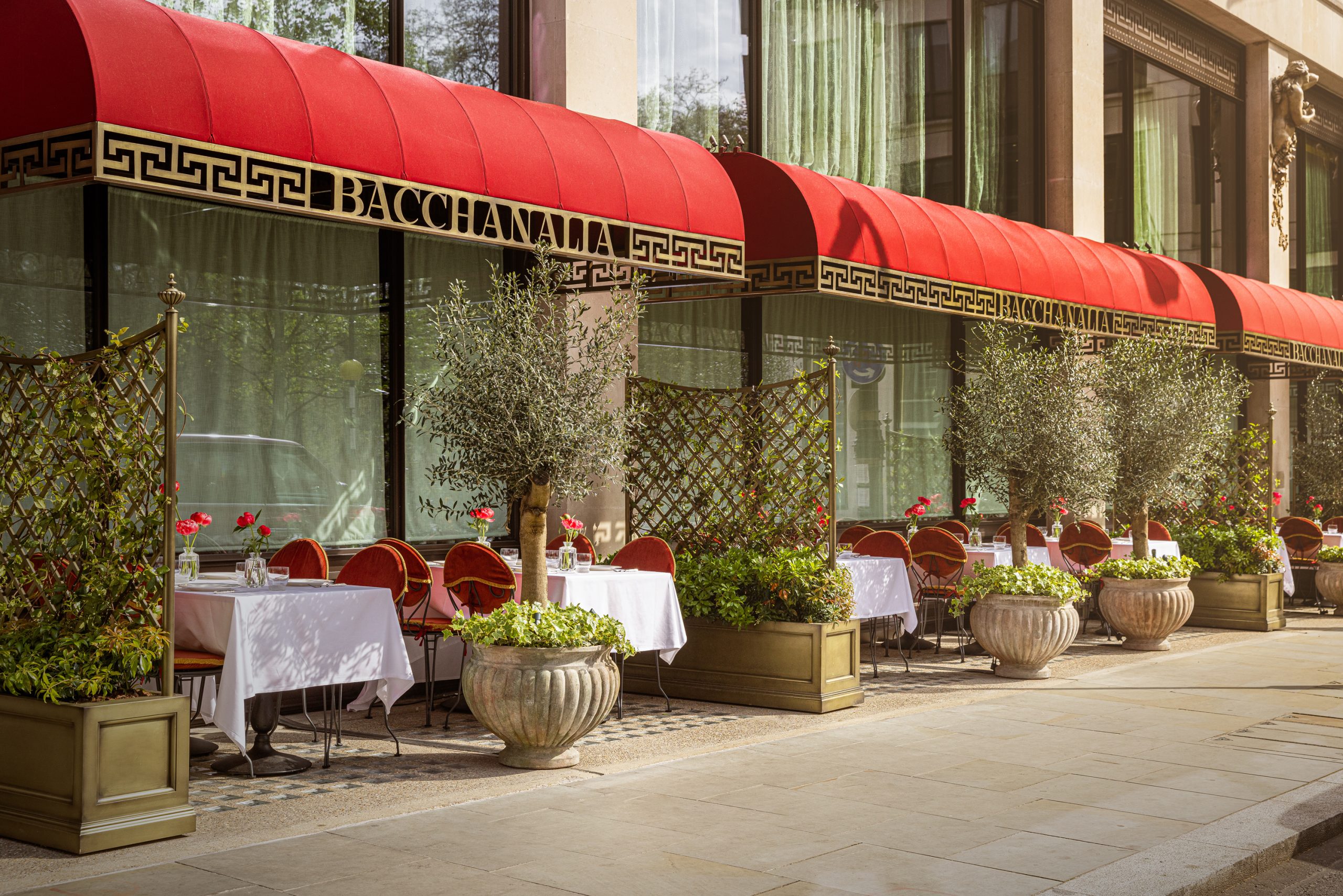 Spring on the Terrace